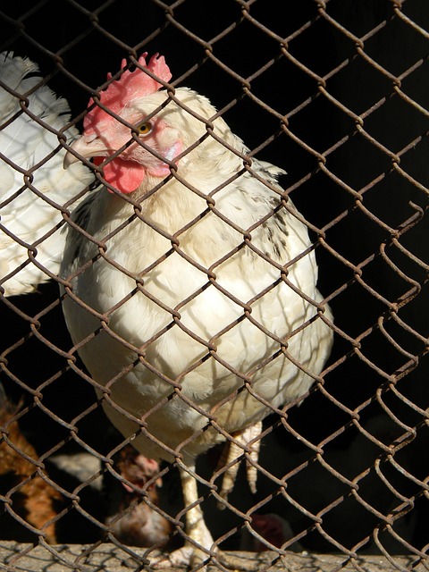 与其他豪门 与其他豪门