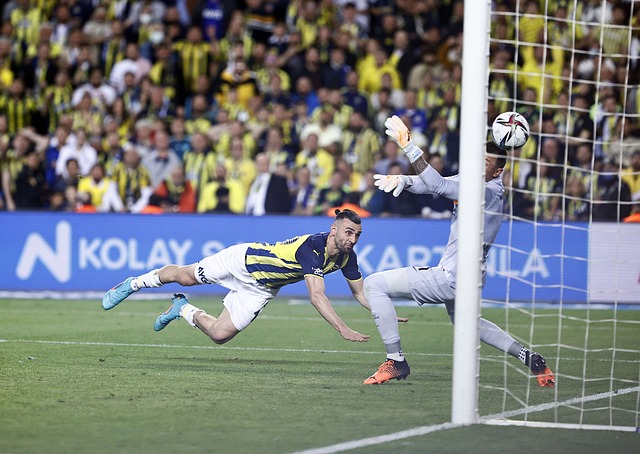 智至关重要 智至关重要