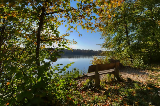 年度最佳男 年度最佳男