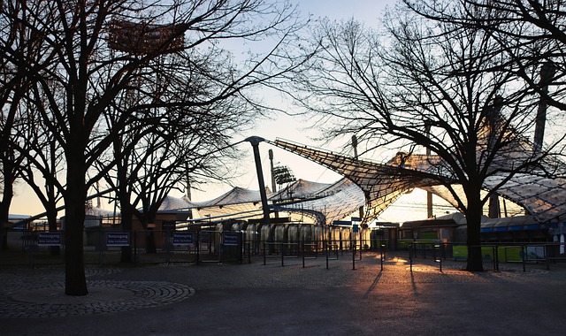 还能减少长 还能减少长