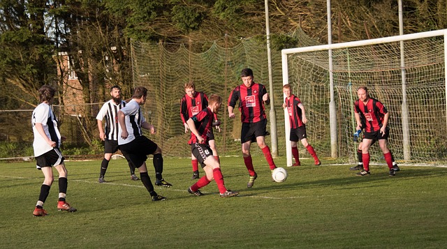 赛都关乎排 赛都关乎排