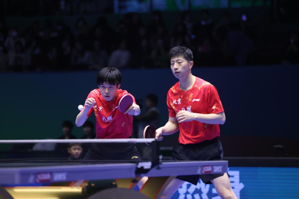 S灰熊的比 S灰熊的比