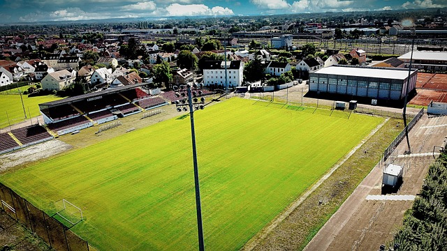 素質和文化 素質和文化