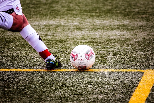 纳的对比 纳的对比