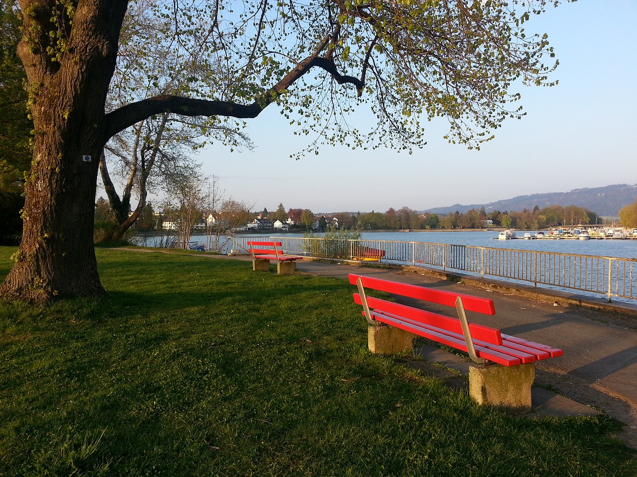 内忙碌的身 内忙碌的身