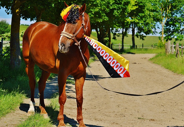 每一年的改 每一年的改