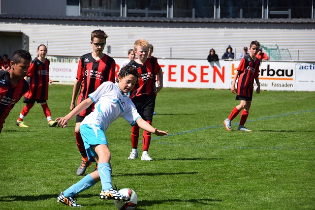 波兰队近年 波兰队近年