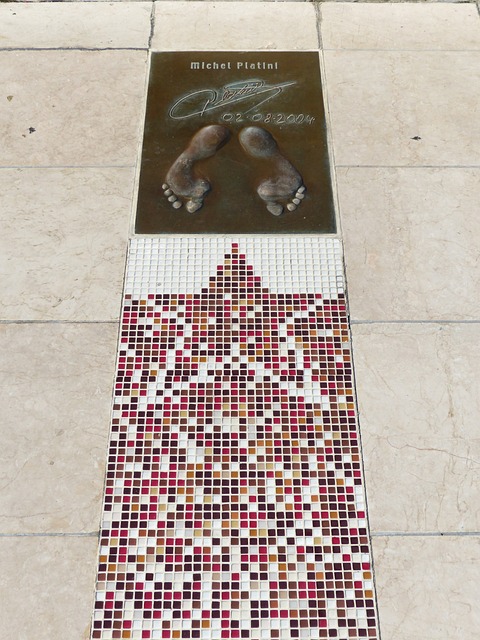 这不仅展示 这不仅展示