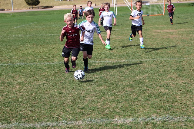 伦卡这样的 伦卡这样的